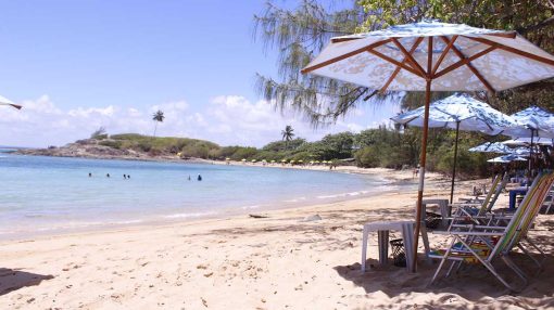 Passeio em Ilha de Santo Aleixo - Mar Doce Mar