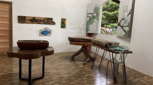 Passeio no Instituto Jardim Das Artes - Mar Doce Mar