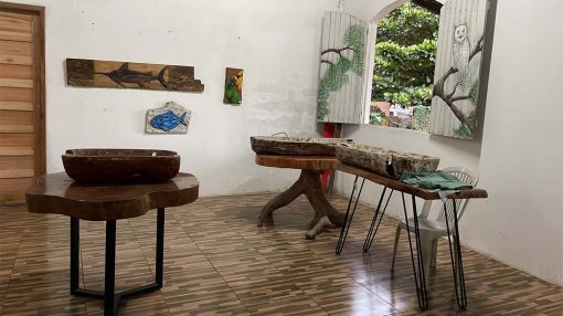 Passeio no Instituto Jardim Das Artes - Mar Doce Mar